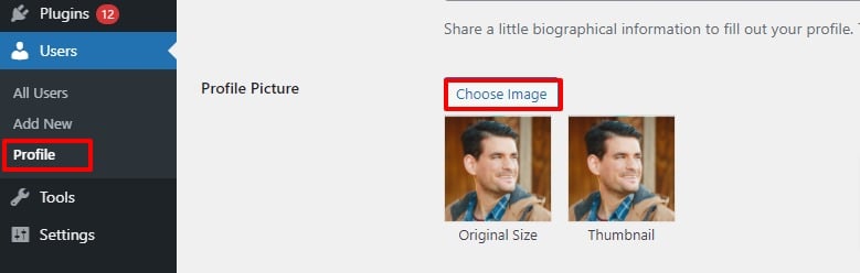 add an author's photo in WordPress